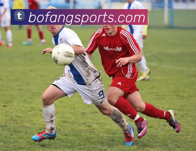 App Interface Preview