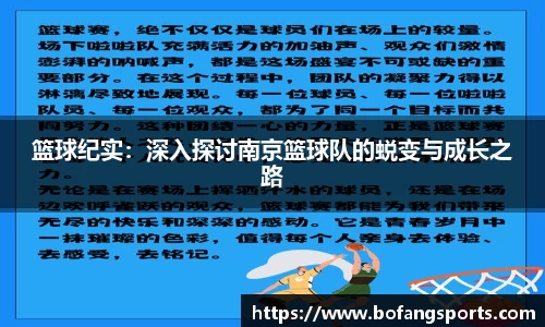 篮球纪实：深入探讨南京篮球队的蜕变与成长之路